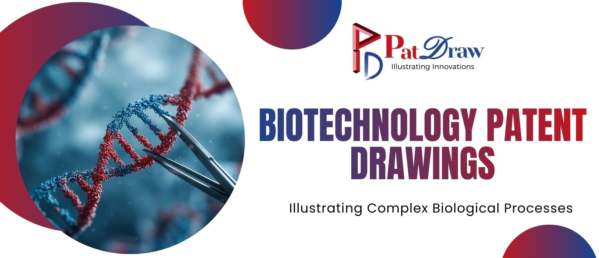Biotechnology Patent Drawings: Illustrating Complex Biological Processes
